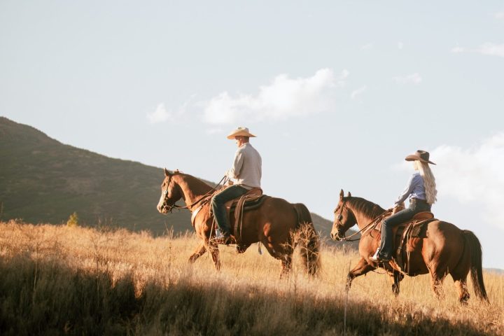 a group of people riding horses on a grassy field